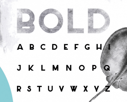Salt-Typeface--23