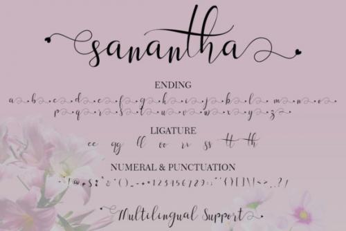Sanantha Calligraphy Font 8