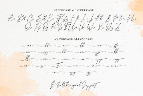 Santa Fe Spring Handwritten Font  11