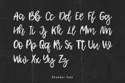 Shamber Script Font  3