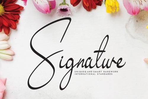 Signature – Exquisite Handwritten Font