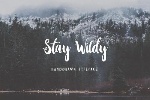 Stay Wildy Script Font