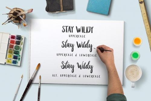 Stay Wildy Script Font 6