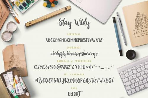 Stay Wildy Script Font 8