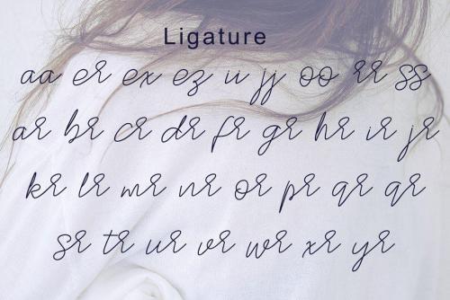 Stylish Script Font  9