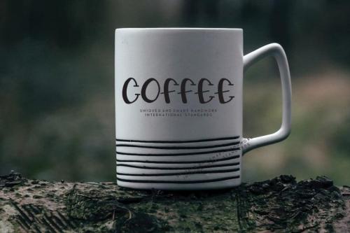 Sunnygo Display Font 4