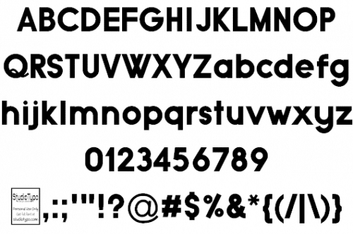Typo Grotesk Font Family 1