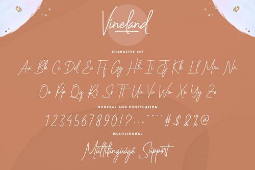 Vineland Handwriting Font 3