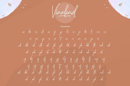 Vineland Handwriting Font 5