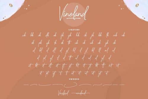 Vineland Handwriting Font 7