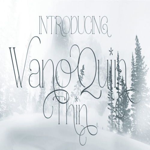 Wano-Quin-Serif-Font-0