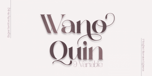 Wano Quin Serif Font  3