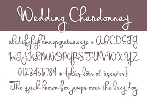 Wedding Chardonnay Font  1
