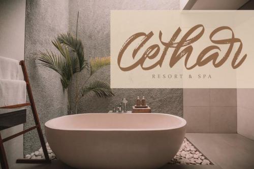 Western – Handbrush Script Font 4