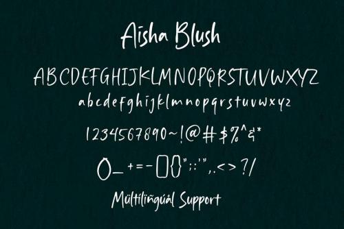 Aisha Blush Font  8