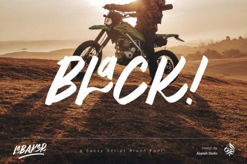 AL LeBaker Font 