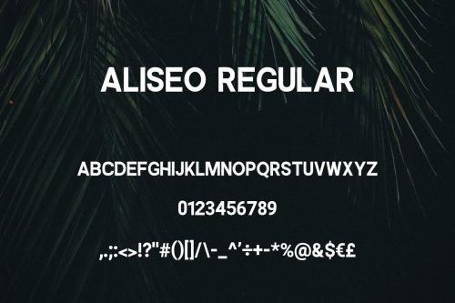 Aliseo Font Family 2