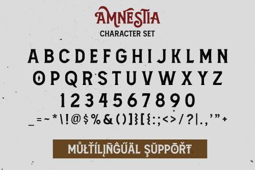 Amnestia Vintage Serif Typeface 7