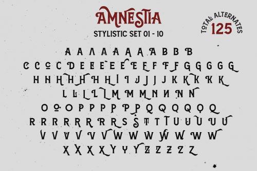 Amnestia Vintage Serif Typeface 8