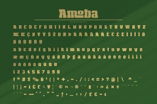 Amoba Slab Serif Font 3