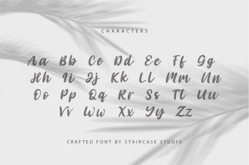 Angelica Caroline Handwritten Script Typeface  6