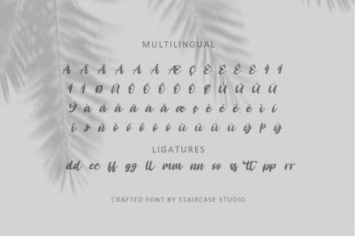 Angelica Caroline Handwritten Script Typeface  7