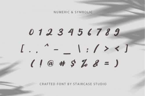 Angelica Caroline Handwritten Script Typeface  8