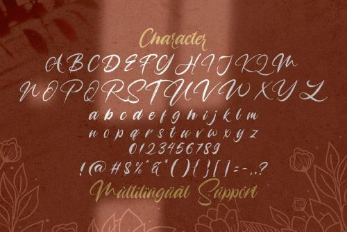 Angelicy Textured Brush Font 13