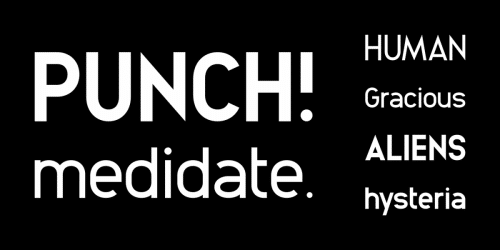 Animosa Font Family  1