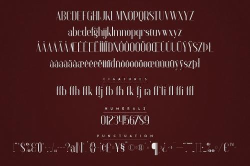 Anteric Display Typeface  11