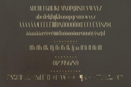 Anteric Display Typeface  8