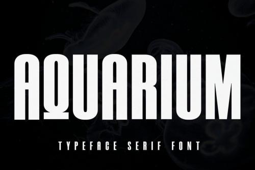 Aquarium Sans Serif Typeface (1)