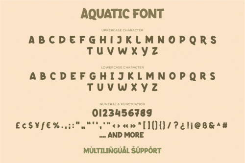 Aquatic Display Font  8