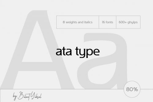 Ata Type Family 1