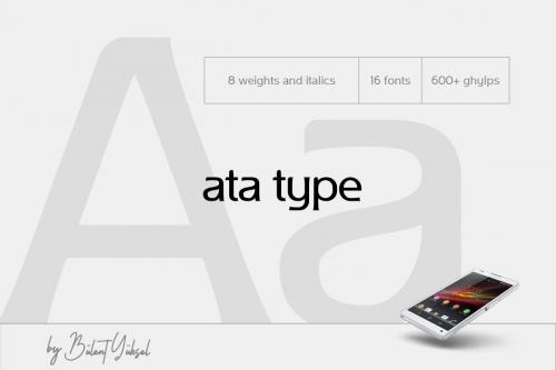 Ata Type Family 2