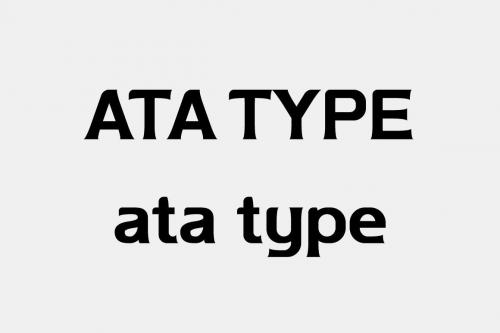 Ata Type Family 3