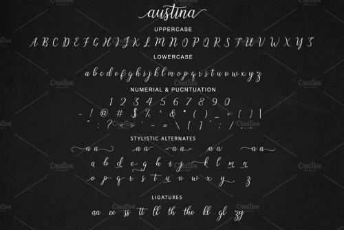 Austina Font 4