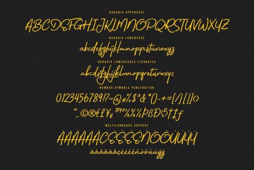 Bahagia Typeface  6
