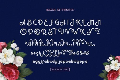 Baxoe Sans Fancy Typeface 7