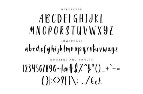 Beyouty Script Font 1
