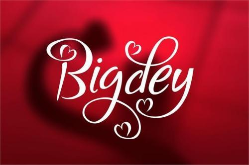 Bigdey Font  0