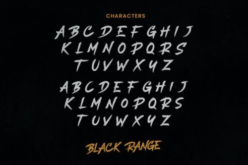 Black Range Brush Font 8