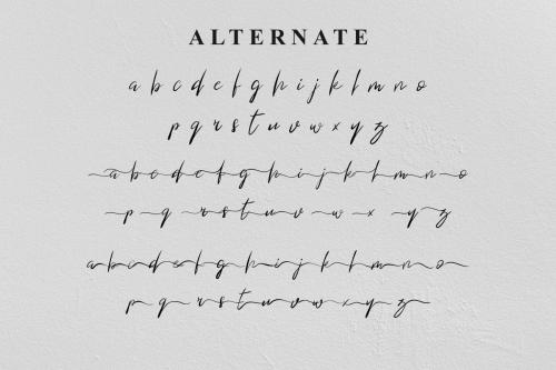 Blind Heart Script Font 4