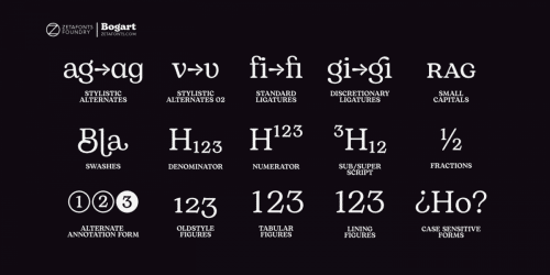 Bogart Serif Typeface  14