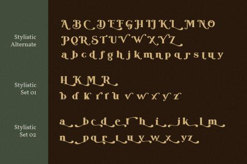 Bogota Bold Elegant Serif Font 9
