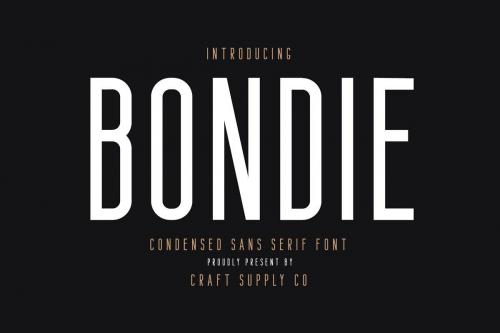 Bondie Sans Serif Font 10