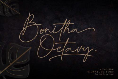 Bonitha Octavy Signature Font