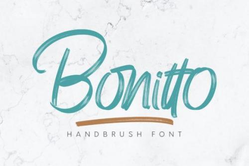 Bonitto Brush Script Font 1