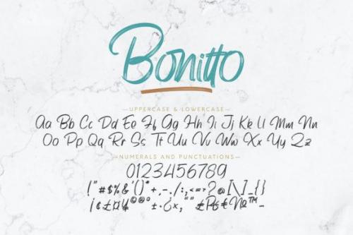 Bonitto Brush Script Font 10
