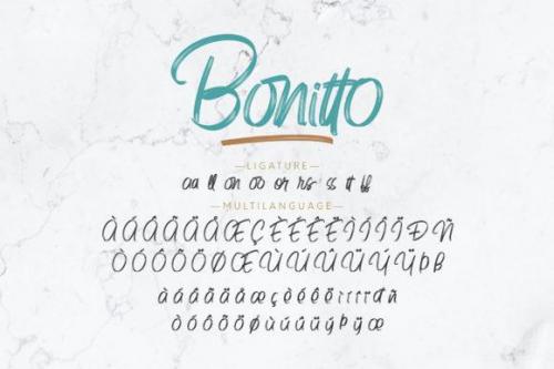 Bonitto Brush Script Font 11